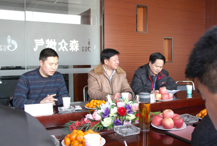 林口县政府与九游网页版-九游jiuyou(中国)燃气项目洽谈.png